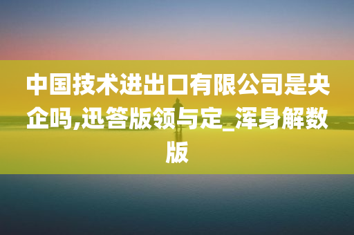 中国技术进出口有限公司是央企吗,迅答版领与定_浑身解数版