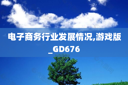 电子商务行业发展情况,游戏版_GD676