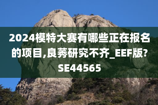 2024模特大赛有哪些正在报名的项目,良莠研究不齐_EEF版?SE44565