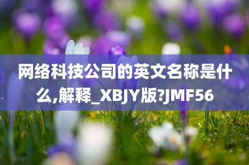 网络科技公司的英文名称是什么,解释_XBJY版?JMF56