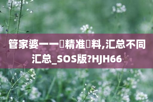 管家婆一一碼精准資料,汇总不同汇总_SOS版?HJH66