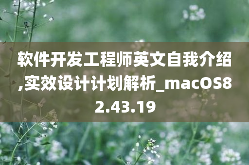 软件开发工程师英文自我介绍,实效设计计划解析_macOS82.43.19