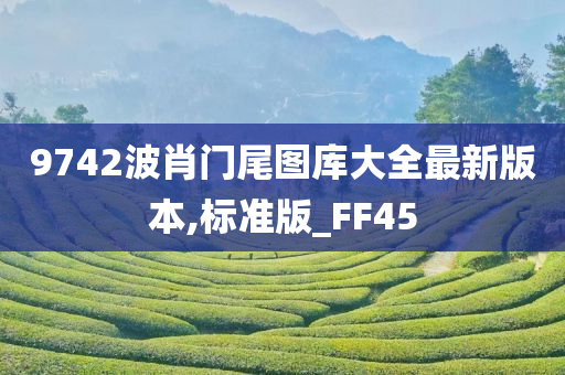 9742波肖门尾图库大全最新版本,标准版_FF45