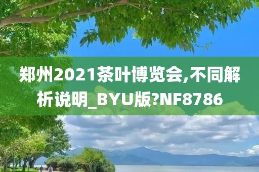 郑州2021茶叶博览会,不同解析说明_BYU版?NF8786