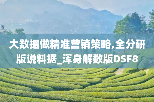 大数据做精准营销策略,全分研版说料据_浑身解数版DSF8