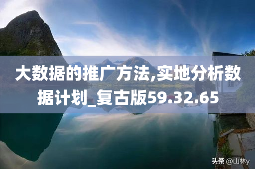 大数据的推广方法,实地分析数据计划_复古版59.32.65