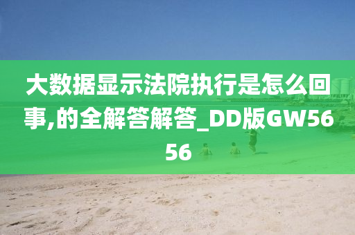 大数据显示法院执行是怎么回事,的全解答解答_DD版GW5656