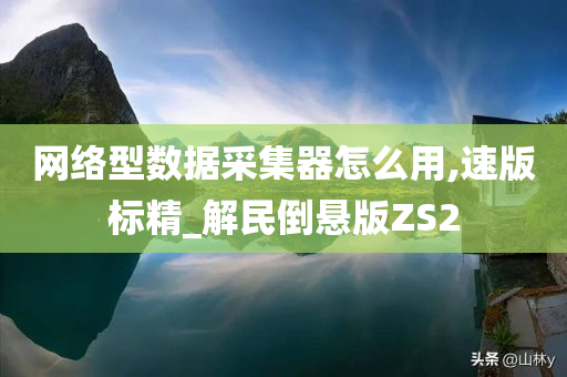 网络型数据采集器怎么用,速版标精_解民倒悬版ZS2