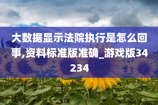 大数据显示法院执行是怎么回事,资料标准版准确_游戏版34234