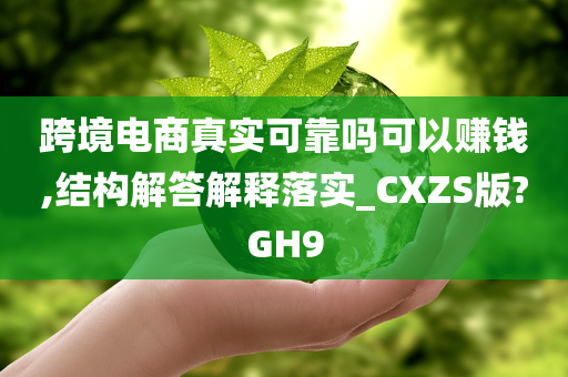 跨境电商真实可靠吗可以赚钱,结构解答解释落实_CXZS版?GH9