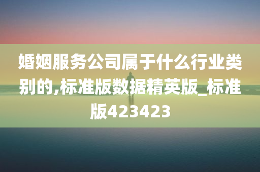 婚姻服务公司属于什么行业类别的,标准版数据精英版_标准版423423