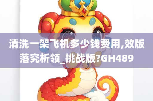 清洗一架飞机多少钱费用,效版落究析领_挑战版?GH489