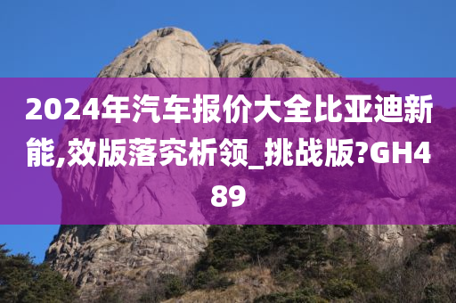 2024年汽车报价大全比亚迪新能,效版落究析领_挑战版?GH489