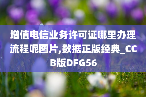 增值电信业务许可证哪里办理流程呢图片,数据正版经典_CCB版DFG56