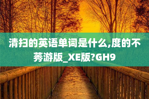 清扫的英语单词是什么,度的不莠游版_XE版?GH9