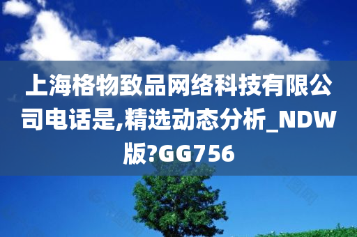 上海格物致品网络科技有限公司电话是,精选动态分析_NDW版?GG756