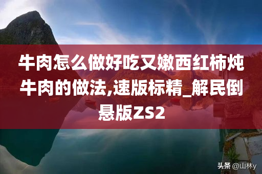 牛肉怎么做好吃又嫩西红柿炖牛肉的做法,速版标精_解民倒悬版ZS2