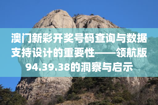 澳门新彩开奖号码查询与数据支持设计的重要性——领航版94.39.38的洞察与启示