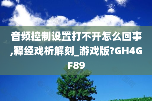 音频控制设置打不开怎么回事,释经戏析解刻_游戏版?GH4GF89