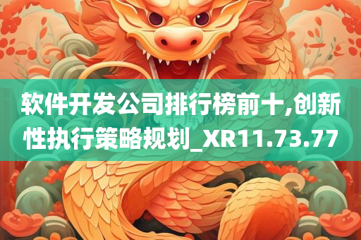 软件开发公司排行榜前十,创新性执行策略规划_XR11.73.77