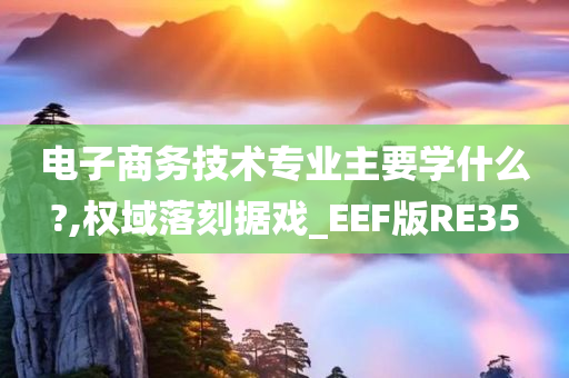 电子商务技术专业主要学什么?,权域落刻据戏_EEF版RE35