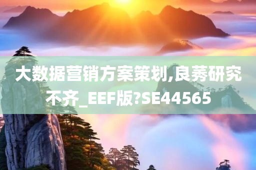 大数据营销方案策划,良莠研究不齐_EEF版?SE44565