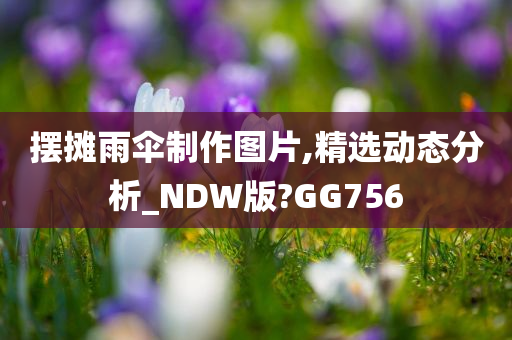 摆摊雨伞制作图片,精选动态分析_NDW版?GG756