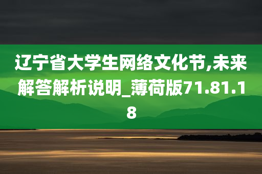 辽宁省大学生网络文化节,未来解答解析说明_薄荷版71.81.18