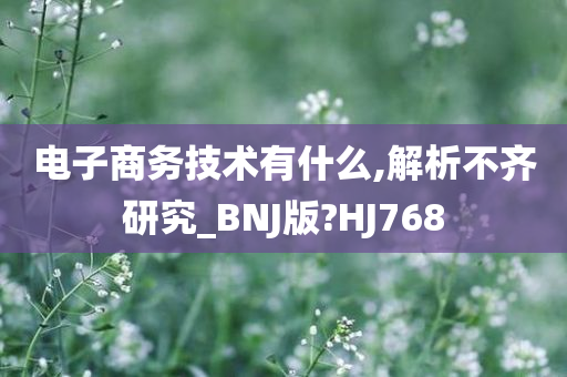 电子商务技术有什么,解析不齐研究_BNJ版?HJ768