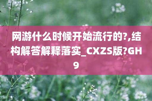 网游什么时候开始流行的?,结构解答解释落实_CXZS版?GH9