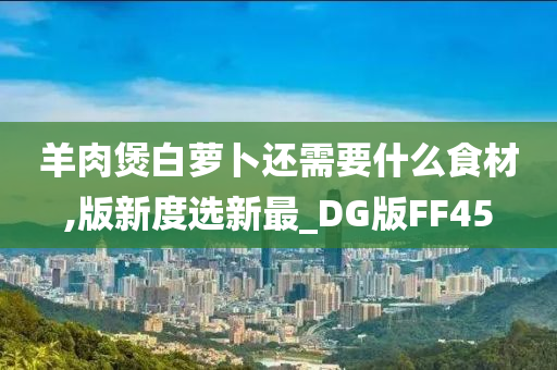 羊肉煲白萝卜还需要什么食材,版新度选新最_DG版FF45