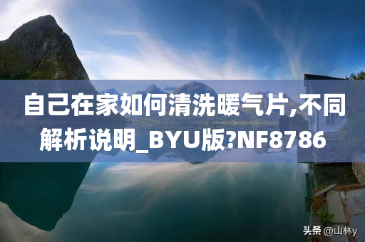 自己在家如何清洗暖气片,不同解析说明_BYU版?NF8786