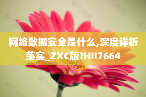 网络数据安全是什么,深度详析落实_ZXC版?HII7664