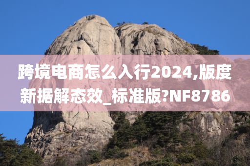 跨境电商怎么入行2024,版度新据解态效_标准版?NF8786