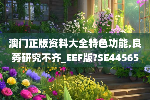 澳门正版资料大全特色功能,良莠研究不齐_EEF版?SE44565