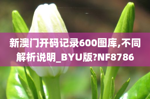 新澳门开码记录600图库,不同解析说明_BYU版?NF8786