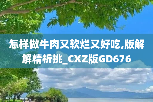 怎样做牛肉又软烂又好吃,版解解精析挑_CXZ版GD676