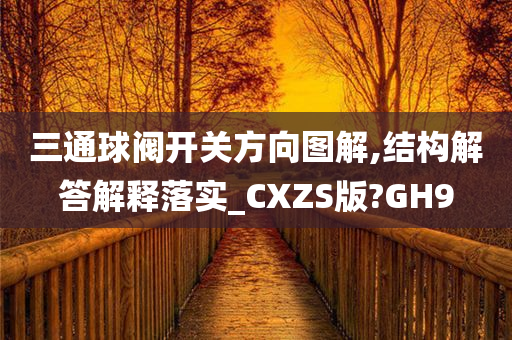 三通球阀开关方向图解,结构解答解释落实_CXZS版?GH9