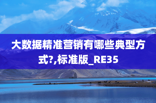 大数据精准营销有哪些典型方式?,标准版_RE35