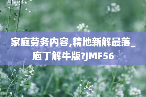 家庭劳务内容,精地新解最落_庖丁解牛版?JMF56