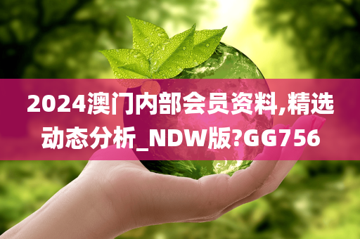 2024澳门内部会员资料,精选动态分析_NDW版?GG756