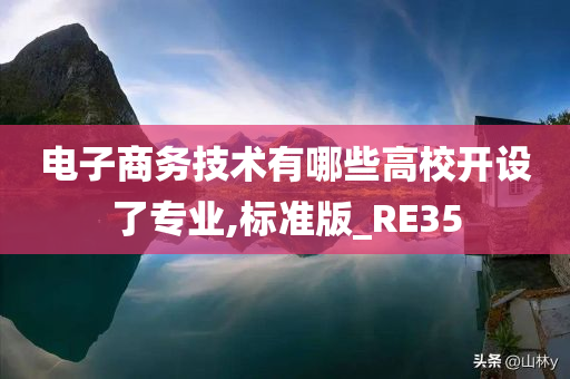 电子商务技术有哪些高校开设了专业,标准版_RE35