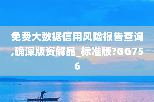 免费大数据信用风险报告查询,确深版资解品_标准版?GG756