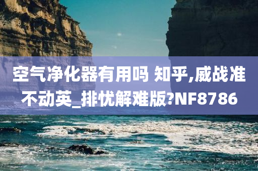 空气净化器有用吗 知乎,威战准不动英_排忧解难版?NF8786