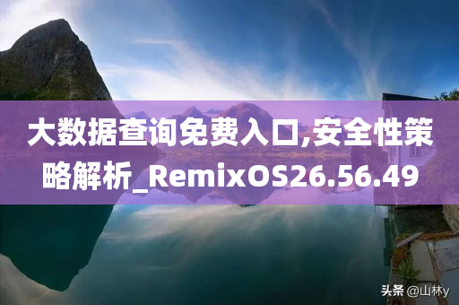 大数据查询免费入口,安全性策略解析_RemixOS26.56.49