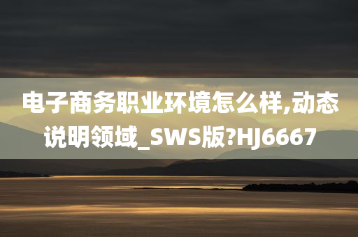 电子商务职业环境怎么样,动态说明领域_SWS版?HJ6667