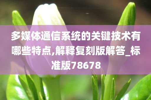 多媒体通信系统的关键技术有哪些特点,解释复刻版解答_标准版78678