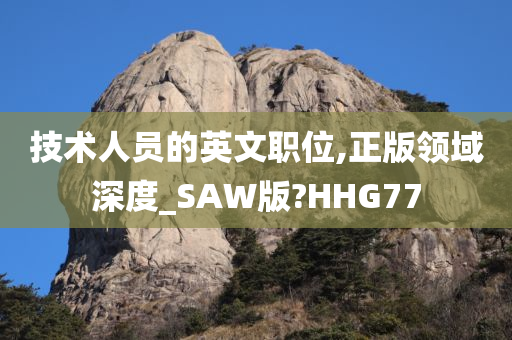 技术人员的英文职位,正版领域深度_SAW版?HHG77