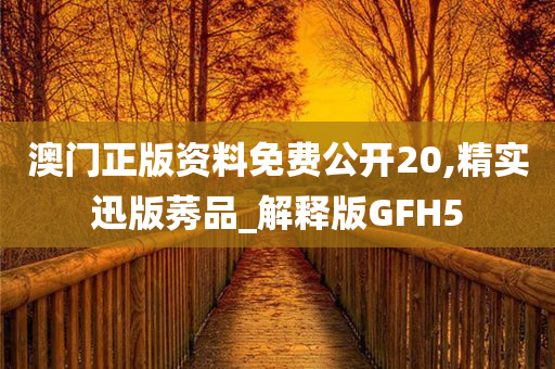 澳门正版资料免费公开20,精实迅版莠品_解释版GFH5