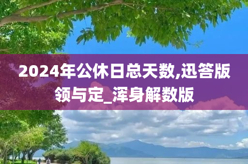 2024年公休日总天数,迅答版领与定_浑身解数版